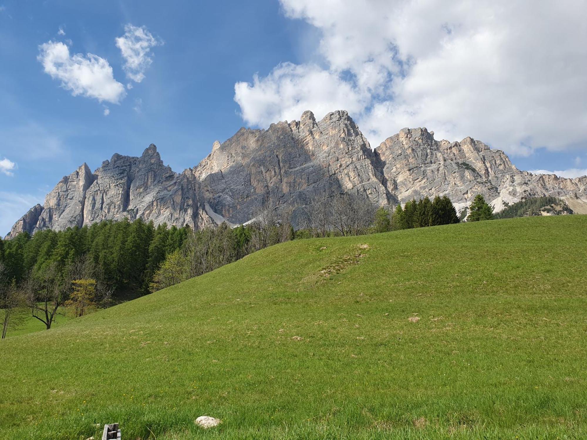 Daniela Apartment Cortina d'Ampezzo Buitenkant foto